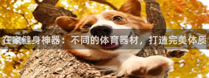 耀世平台招商怎么样：在家健身神器：不同的体育器材，打