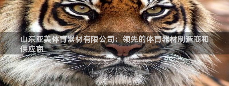 耀世娱乐提款怎么取消：山东亚美体育器材有限公司：领先