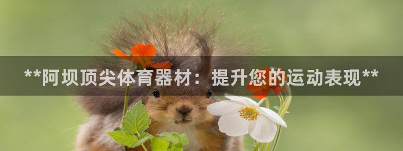 耀世平台开户要求：**阿坝顶尖体育器材：提升您的运动表现**