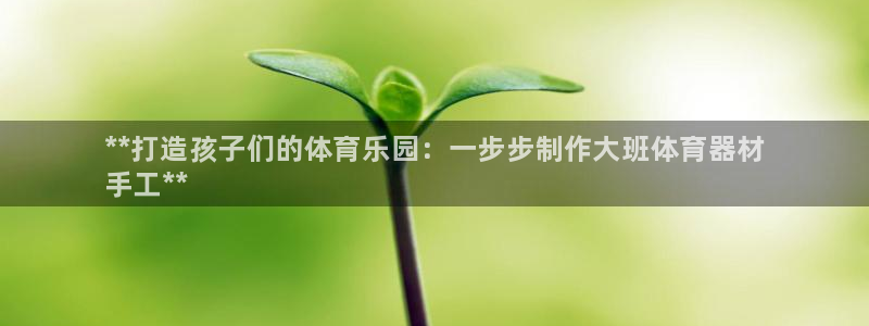 耀世幻主：**打造孩子们的体育乐园：一步步制作大班体