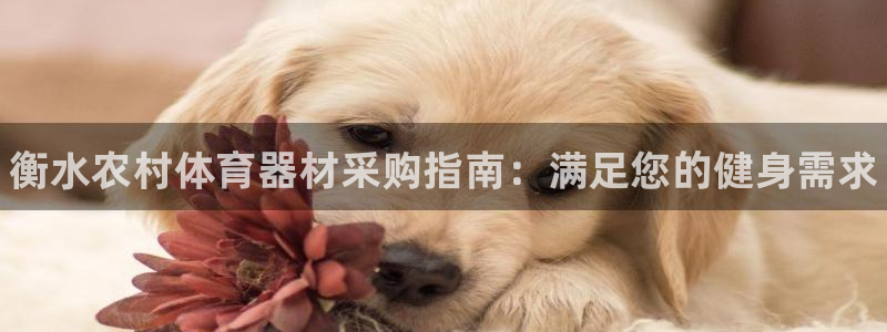 耀世娱乐可以玩吗知乎：衡水农村体育器材采购指南：满足您的健身