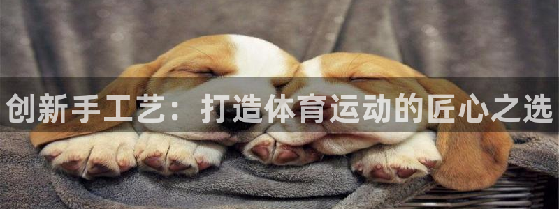 耀世平台app下载安装官网：创新手工艺：打造体育运动