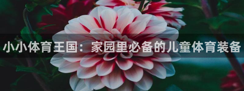 耀世国际集团是国企吗还是私企：小小体育王国：家园里必