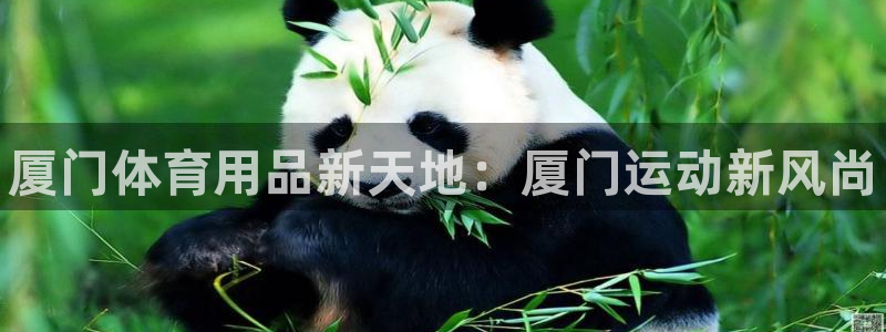 耀世娱乐官网网站入口：厦门体育用品新天地：厦门运动新风尚