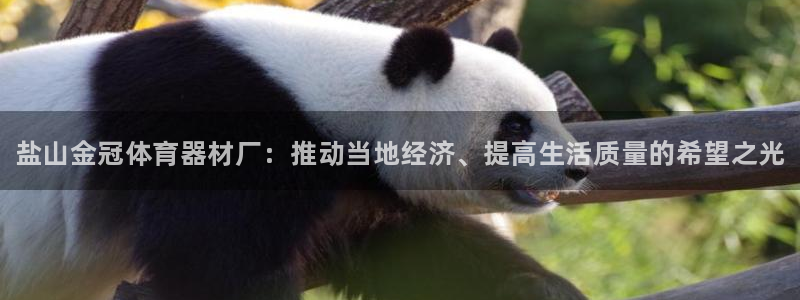 耀世盛典手游：盐山金冠体育器材厂：推动当地经济、提高生活质量