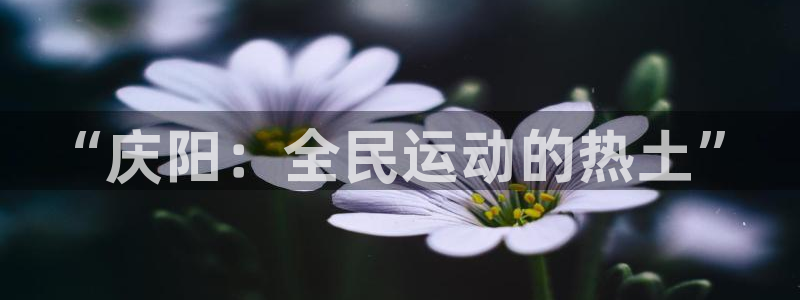 耀世国际平台正规吗可信吗：“庆阳：全民运动的热土”