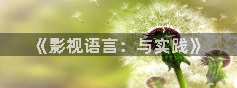 熊猫的电视的价格