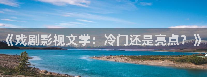 熊猫熊猫熊猫：《戏剧影视文学：冷门还是亮点？》