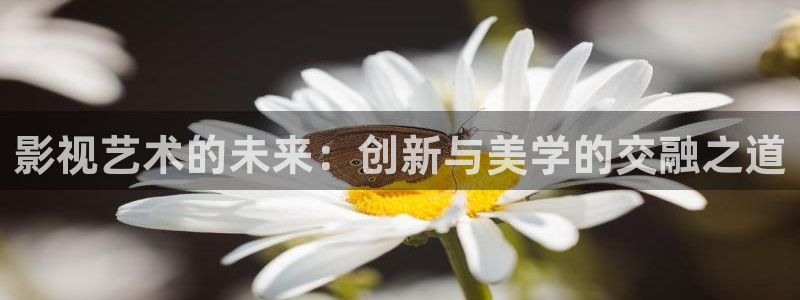 熊猫的电影：影视艺术的未来：创新与美学的交融之道