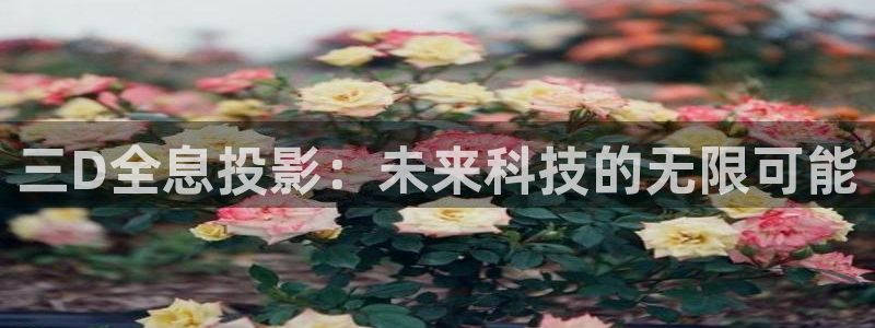 熊猫影视网站：三D全息投影：未来科技的无限可能