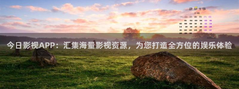 熊猫vcd：今日影视APP：汇集海量影视资源，为您打造全方位的娱乐体验