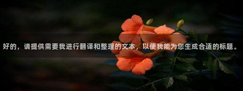 熊猫侠电影免费观看